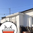 아람별방 | [구좌읍, 제주] 내돈내산 숙소 추천_아람별방(제주아람)