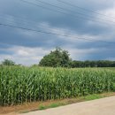 카페정원 이미지