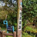 강정동-43 | 제주 가볼만한곳 엉또폭포 방문자 후기