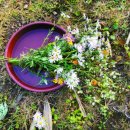 항아리농장 이미지