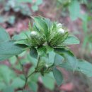 신선약수터 이미지