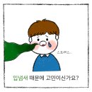 바른연합치과 이미지