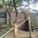 양재중급 이미지