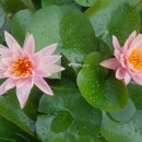 상리공원 이미지