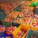 고흥1농장 이미지