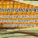 &#34;GMO 식품, 암 발생률 높다&#34; 이미지