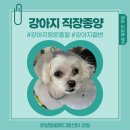 하트동물메디컬센터 이미지