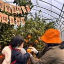 대운농장 이미지