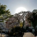 성지여자중학교 Daum카페