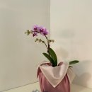 월영동168 | [루먼트랩핑스튜디오] 사랑스러운 봄 신부님의 예단 후기 (창원예단, 마산예단)