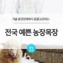 이쁜농장 이미지