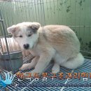 양원보건진료소 이미지