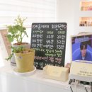 네일프롬제제
