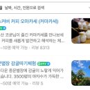 별장 | 제주 서귀포 카페 코쿤 커피 오마카세 중문별장 내돈내산 후기