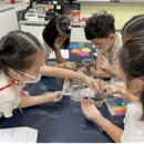 합천가야초등학교 이미지