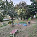 화랑오토캠핑장 화장실 이미지