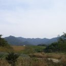 이백면 효기마을 이미지