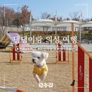 반려견과 함께 떠난 의성 추억 쌓기 여행 #의성펫월드 #사촌마을 #반려견동반한옥스테이