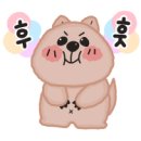 펫 소울메이트 이미지
