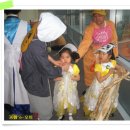 이종범농장 이미지