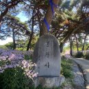 9월 23일 충주호 악어봉, 문경 문희농원과 봉천사 벌개미취 풍경, 수옥폭포 이미지