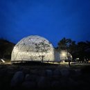 용구니아지트 이미지