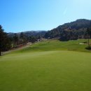 웰리힐리 컨트리클럽 이미지