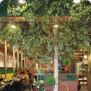 못된송아지 5500 소갈비살 이미지