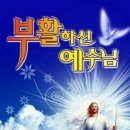 복있는교회 이미지