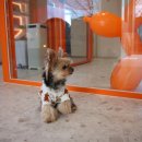 논현유치원 이미지