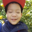 조흥농장 이미지