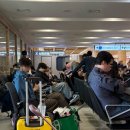 망고식스김포점 | 정신없는 상해여행(디즈니랜드 DPA)
