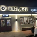 강동로1-22 이미지