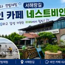 네스트비인
