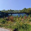 양주 힐하우스호텔 숙박 후기 | 마장호수 산책부터 오랑주리 카페까지 하루 코스