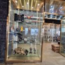 리스(219) 이미지