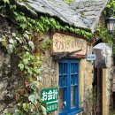 자동차마을(motor village) | 유후인 플로랄빌리지 후기 / 유후인 가볼 만한 곳 추천