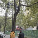 [호남성] 鳳凰 마을 산책.. 이미지