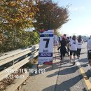 평화교통(주) | [2025 손기정평화마라톤] 10km 완주 후기｜뛰는 걸 정말 싫어하던 교사의 런테크 성장기
