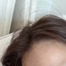 155헤어살롱 | 부천 염색 잘하는 곳 아슈드헤어살롱 중동점 | 자연스러운 브라운 염색후기
