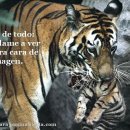 조용필노래연습장 이미지