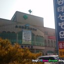 태성동물병원 네이버블로그