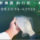 쉬리 이미지