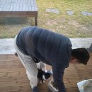 선바우 집 이미지