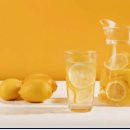 강진군 장애인복지관 | 유배지에서 추락하거나, 날아오르거나, 즐기거나