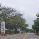 신바람오리