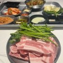 냉삼