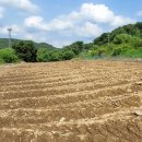 청안면사무소 이미지