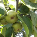 인영농장 이미지