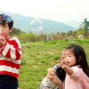 Best Photo Family 이미지